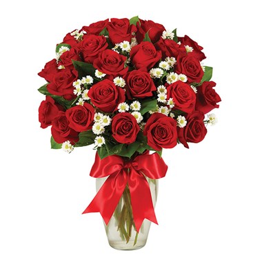 2 Dozen Roses - Red